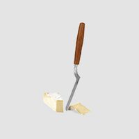 Taste Stainless Steel Brie Knife