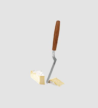 Taste Stainless Steel Brie Knife