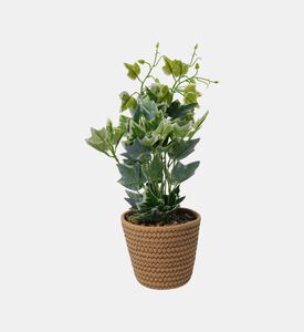 Home Deco and More Artificial Plant Pot, Packshot View