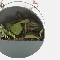 Hanging Artificial Round Plant Pot