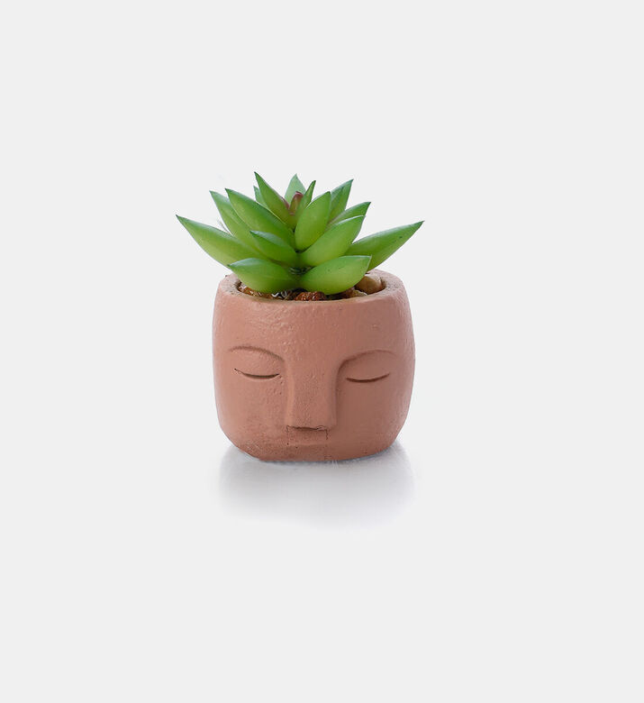 Home Deco and More Artificial Plant-in-cement Pot, Packshot View