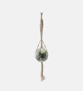 Home Deco and More Decorative Hanging Glass Plant Pot, Packshot View