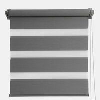 Day-night Roller Blind Curtain