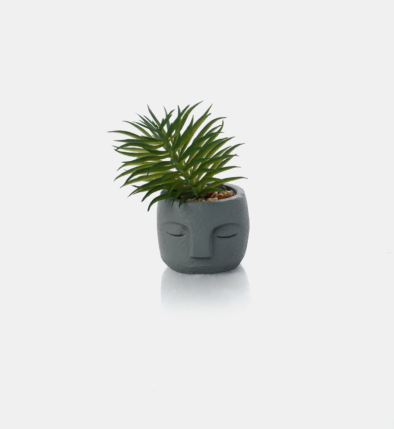 Artificial Plant-in-cement Pot