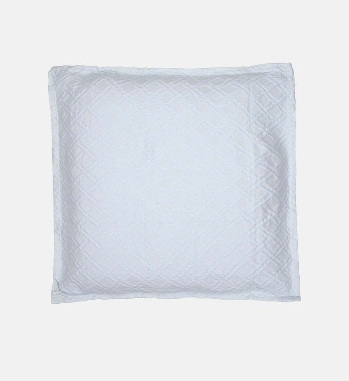 Canvas Cotton Vaccumed Cushion