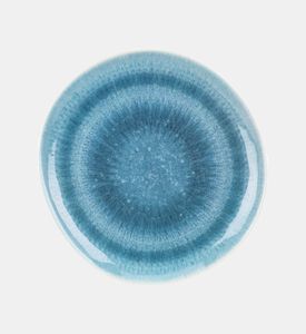 Melamine Reactive Glaze Plate