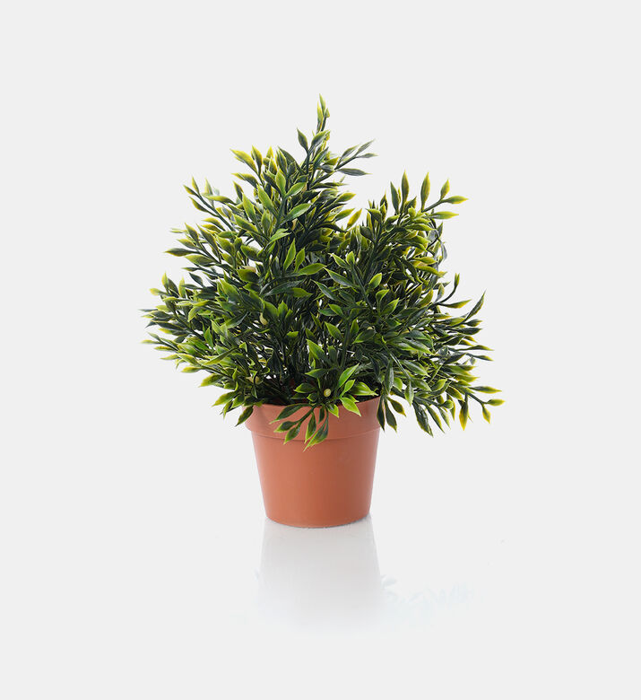 Artificial Plastic Plant-in-pot