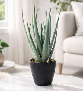 Home Deco and More Artificial Aloa Vera Pot, Packshot View