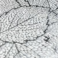 Leaf Embellished Pvc Placemat