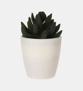 Artificial Plant Pot