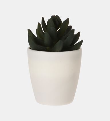 Artificial Plant Pot