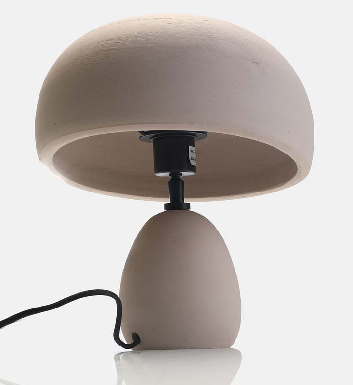 Kumaar Iron Terracotta Table Lamp