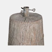 Pine Tree Trunk Base
