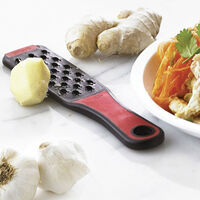 Stainless Steel Garlic Grater