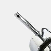 Stainless Wall Mount Soap Dispenser