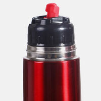 Stainless Steel Insulating Bottle