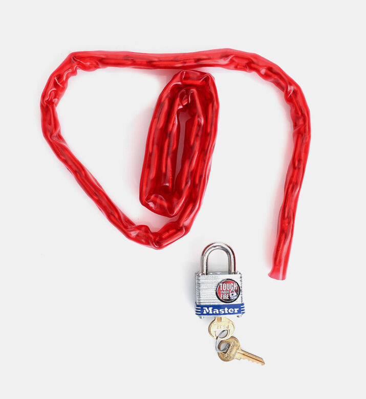 Master Lock Stainless Steel Padlock, Packshot View