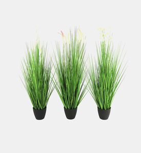 Decostar Poaceae Small Faux Pot Plant, Green, L, Packshot View