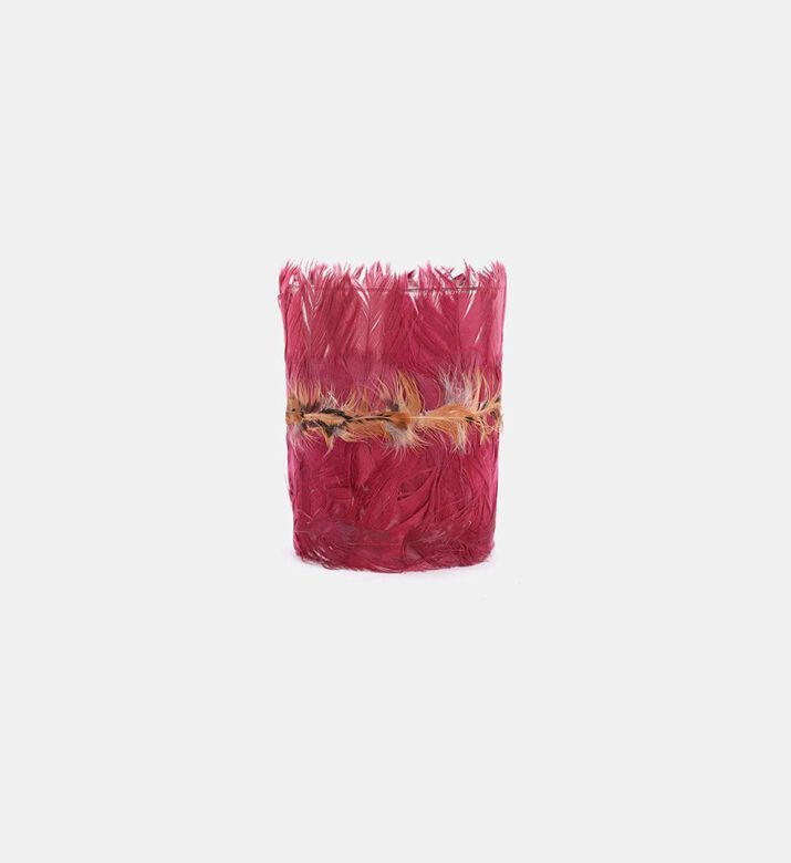 Feather Glass Storage Jar