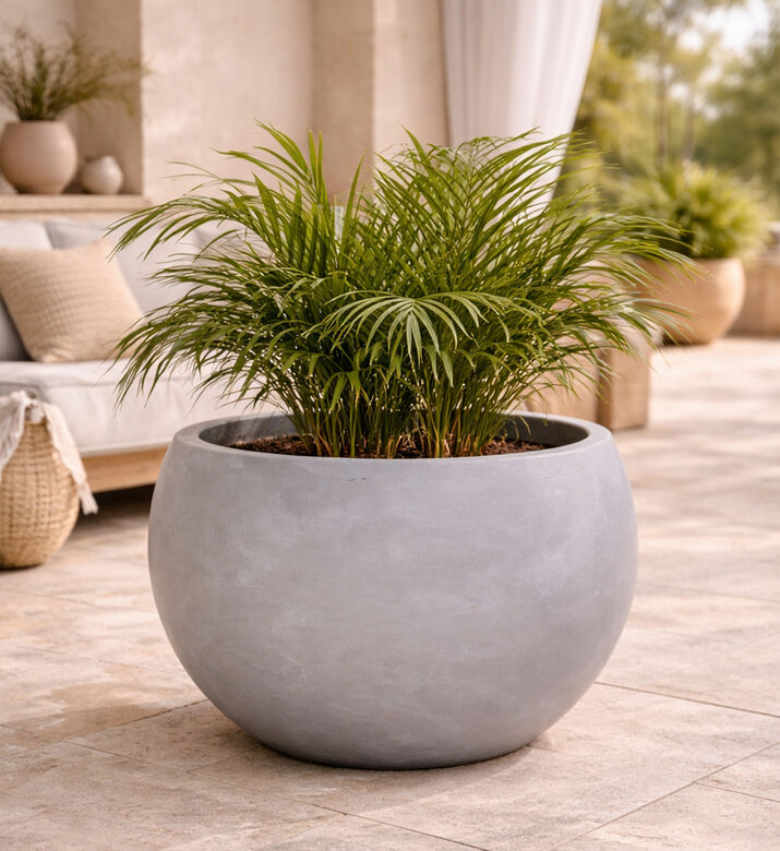 Home Deco and More Fiber Clay Textured Planter, Light-grey, 20-cm, Packshot View