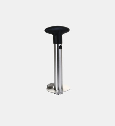Stainless Steel Pineapple Cutter