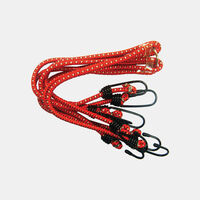 Three Piece Luggage Strap Assorted