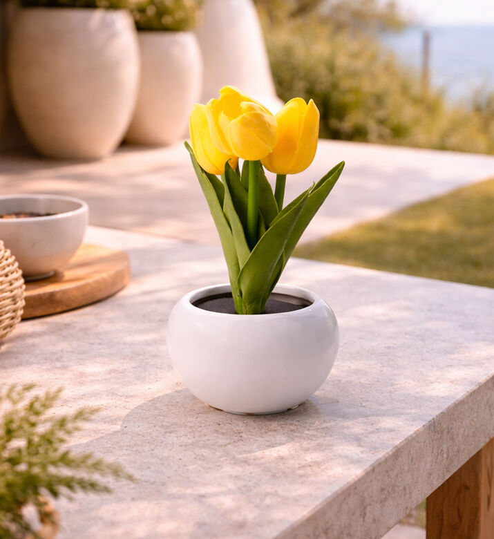 Home Deco and More Led Artificial Tulips-in-pot, Packshot View