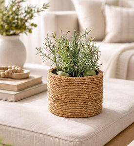Home Deco and More Succulent Plant-in-natural Pot, Packshot View