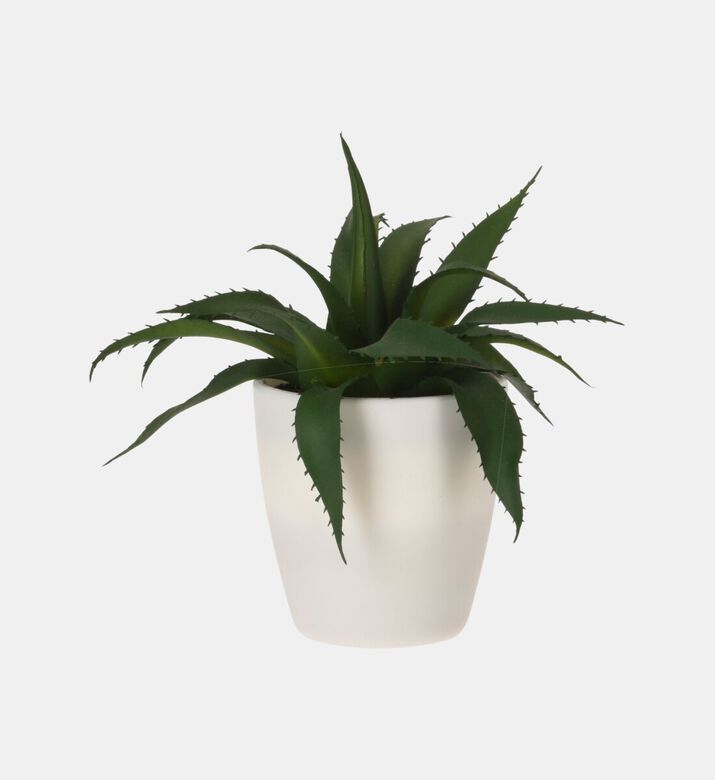 Home Deco and More Artificial Plant Pot, Packshot View