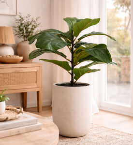 Home Deco and More Artificial Mini Tree-in-pot, Packshot View