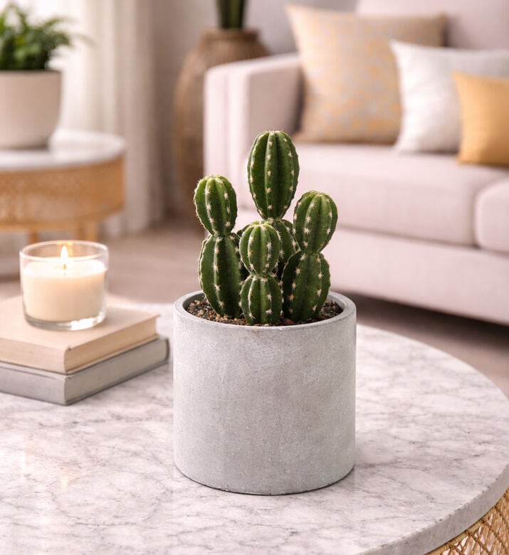 Decostar Cactaceae Hillock Medium Faux Pot, Green, L, Packshot View