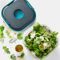 Plastic Fuel Salad On-the-go Container