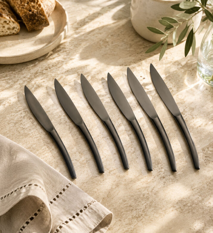 Guy Degrenne Monobloc Steak Knives 6-piece Set, Packshot View