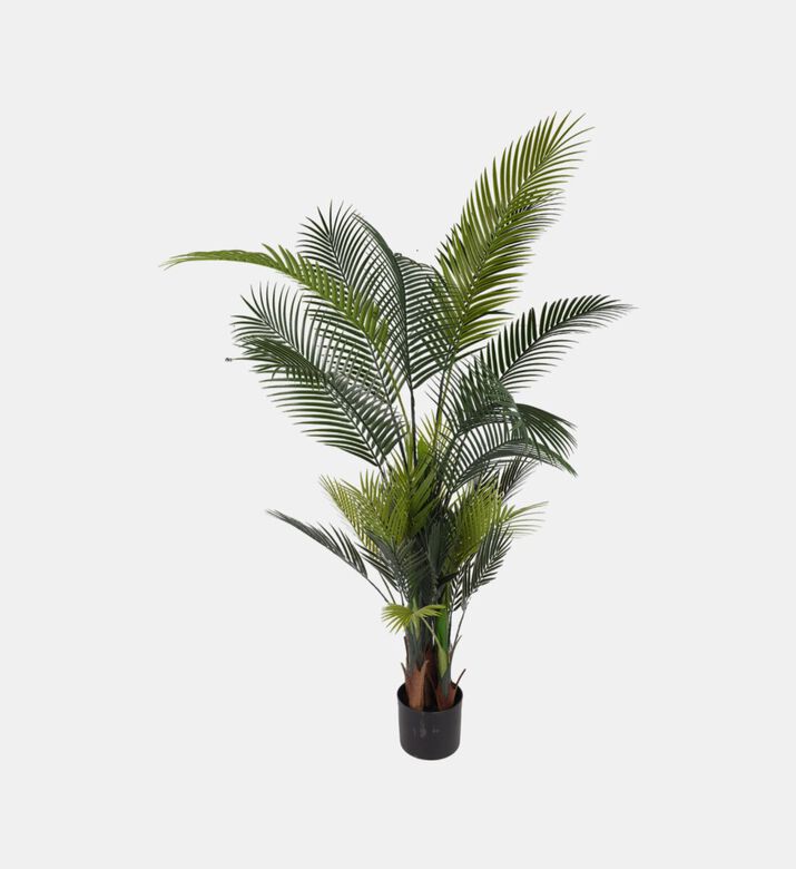 Home Deco and More Artificial Palm Tree, Packshot View