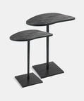 Yang Metal Side Table 2-piece Set