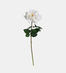 Edg Rosa Dea Dutchess Ramo Faux Stem, Packshot View