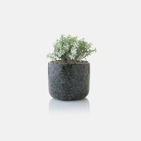 Ceramic Round Plant In Pot