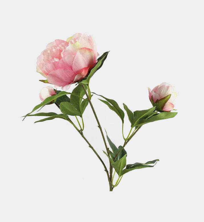 Decostar Paeonia Artificial Flower, Packshot View