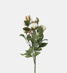 Decostar Rosa Shakira Faux Flower Bunch, White, Packshot View