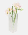 Clear Glass Rectangular Vase