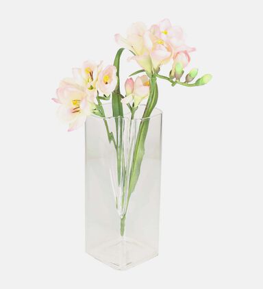 Clear Glass Rectangular Vase