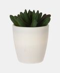 Artificial Plant Pot
