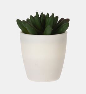 Artificial Plant Pot