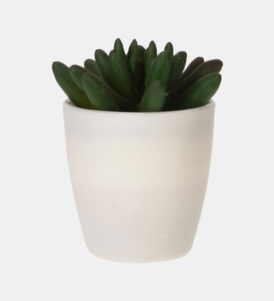Artificial Plant Pot