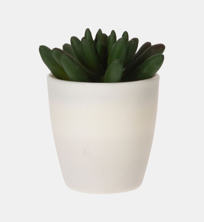 Artificial Plant Pot