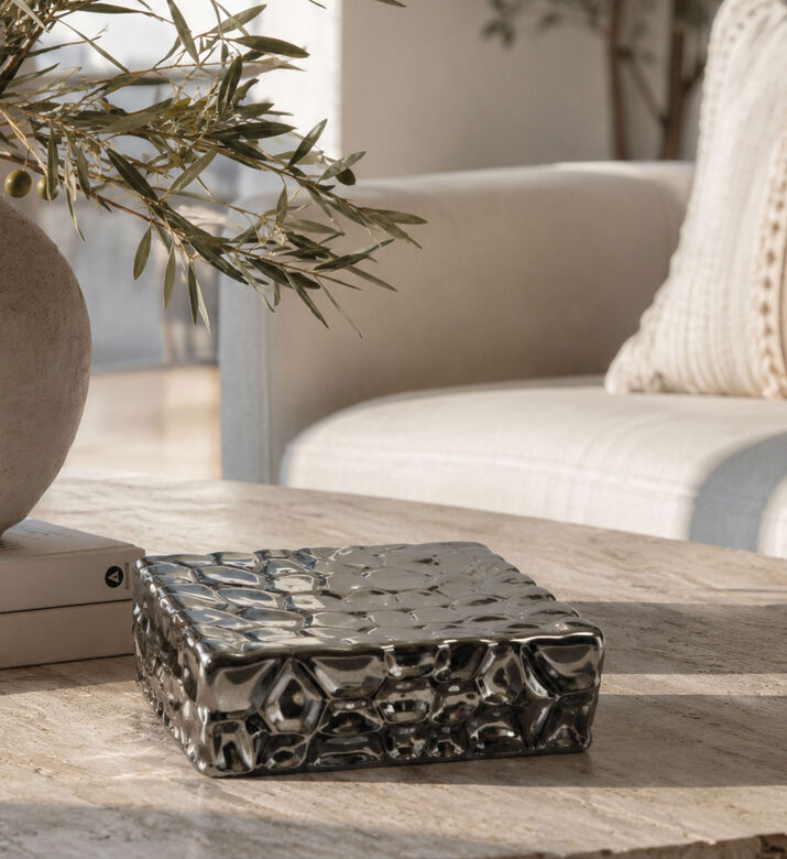 Gedy Martina Ceramic Soap Holder, Silver, Packshot View