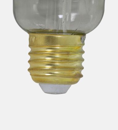 Asym D16 Led Light Bulb