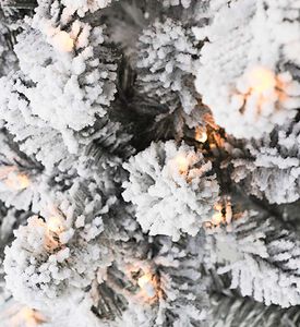 Home Deco and More Pre-lit Snowy Flocked Tree, White, 240-cm, Packshot View