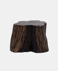 Tefon Acacia Wood Trunk Side Table