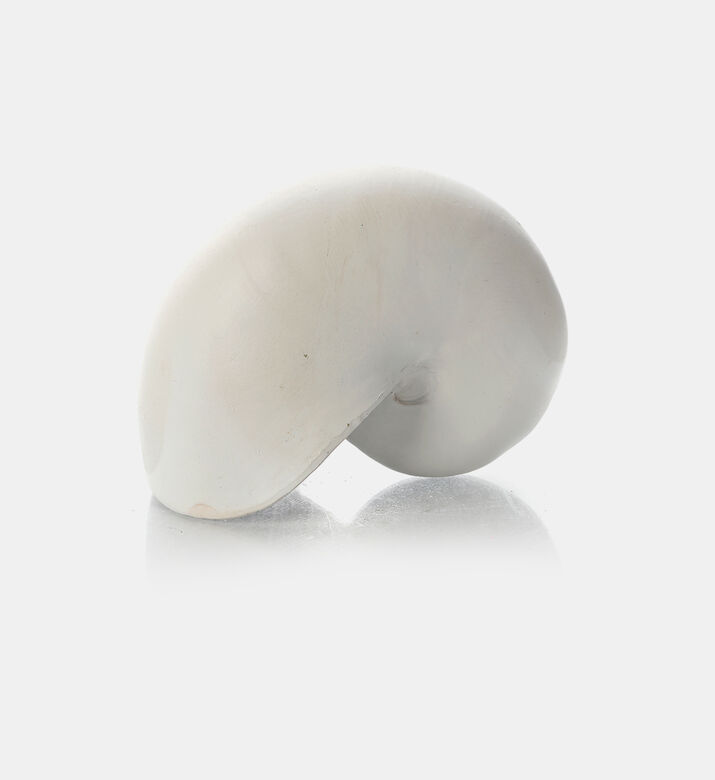 Home Deco and More Shell-shape Decorative Piece, Packshot View